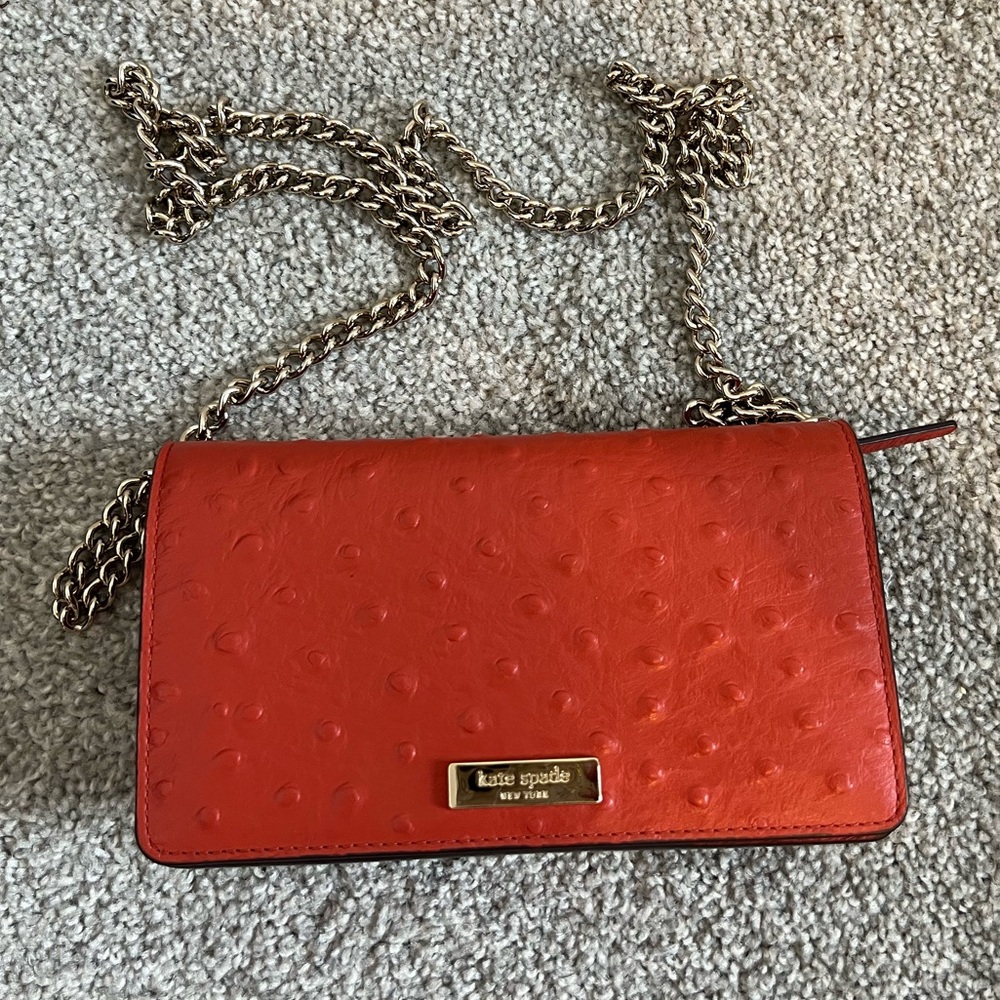 Kate Spade New York Crossbody Clutch